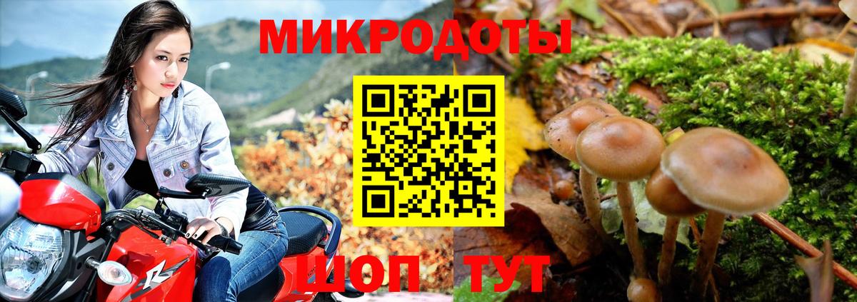 Псилоцибиновые грибы Cubensis  наркота  Борисоглебск  Вход с VPN 